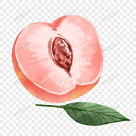 WWW,qqq77·COM网站APPAPP应用