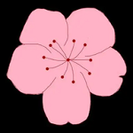 易直播足迹app官方网站APP应用