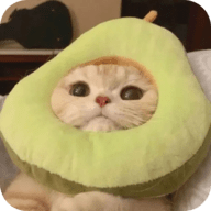 91看片官方版APP应用